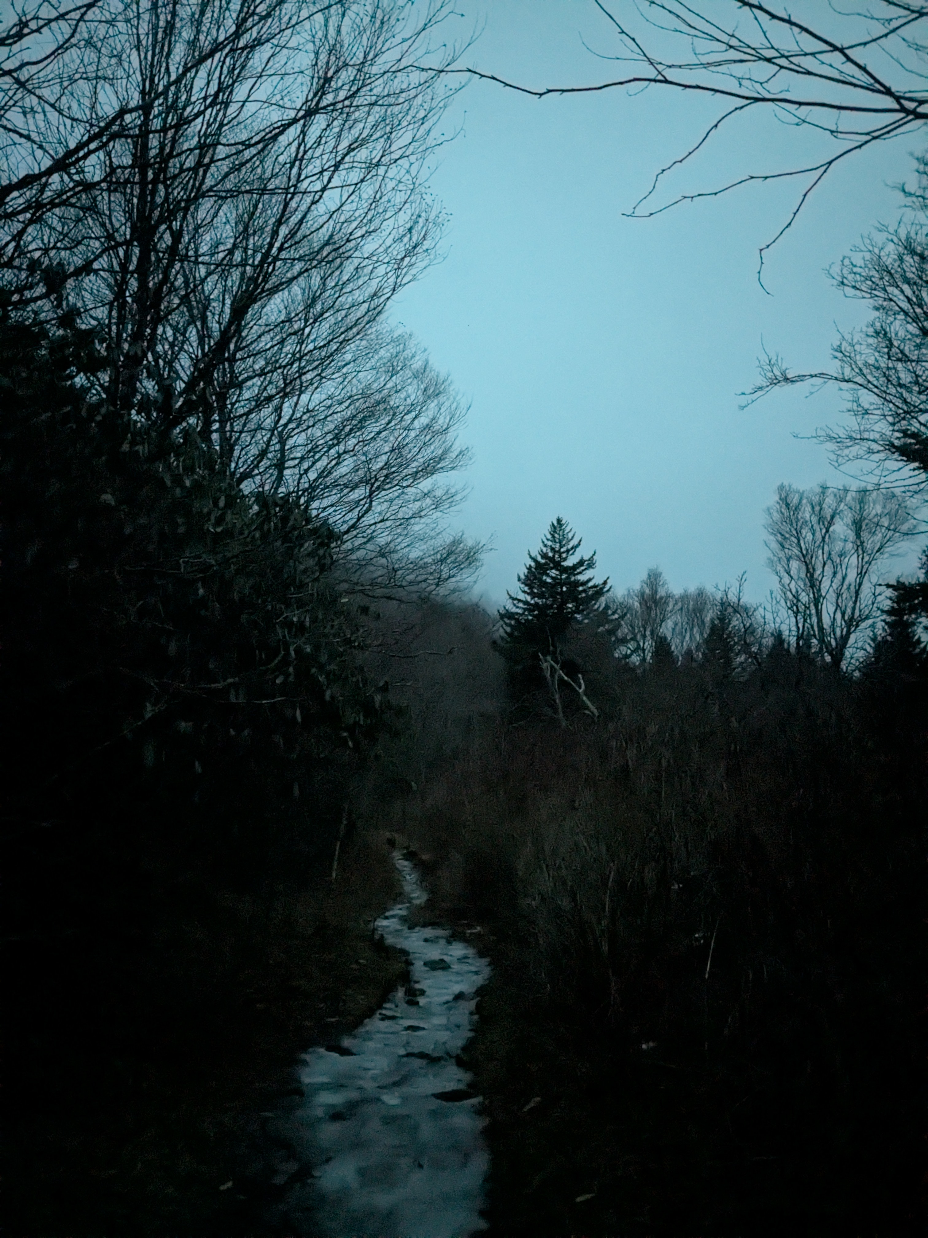 Peaceful mountain morning dawn sunrise in the Pisgah National forest outside of Asheville North Carolina