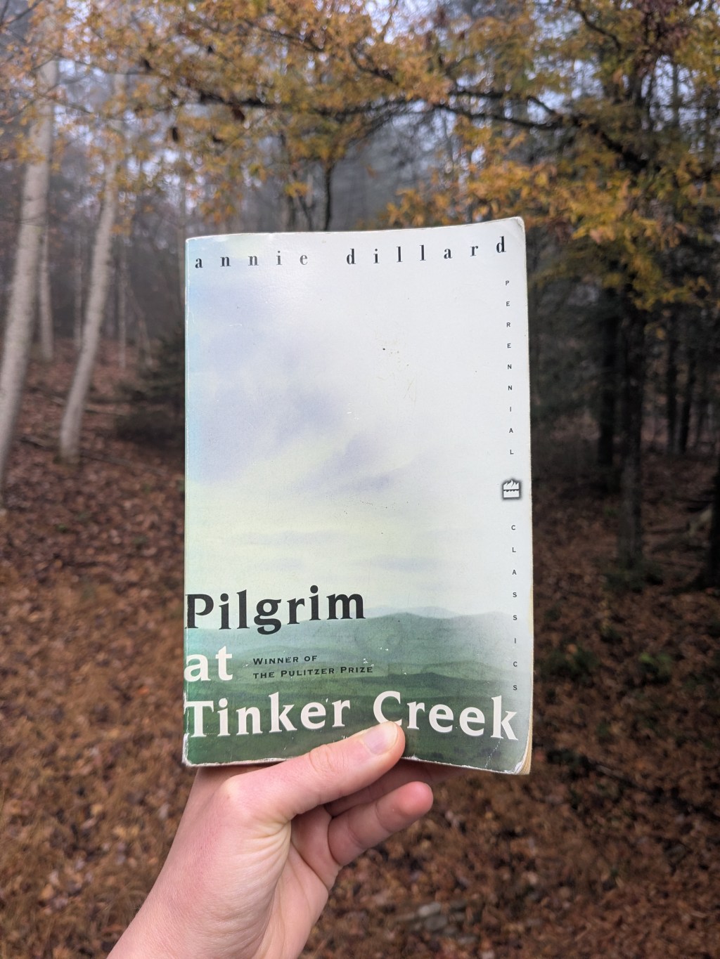 Pilgrim at Tinker Creek and the act of&nbsp;witnessing